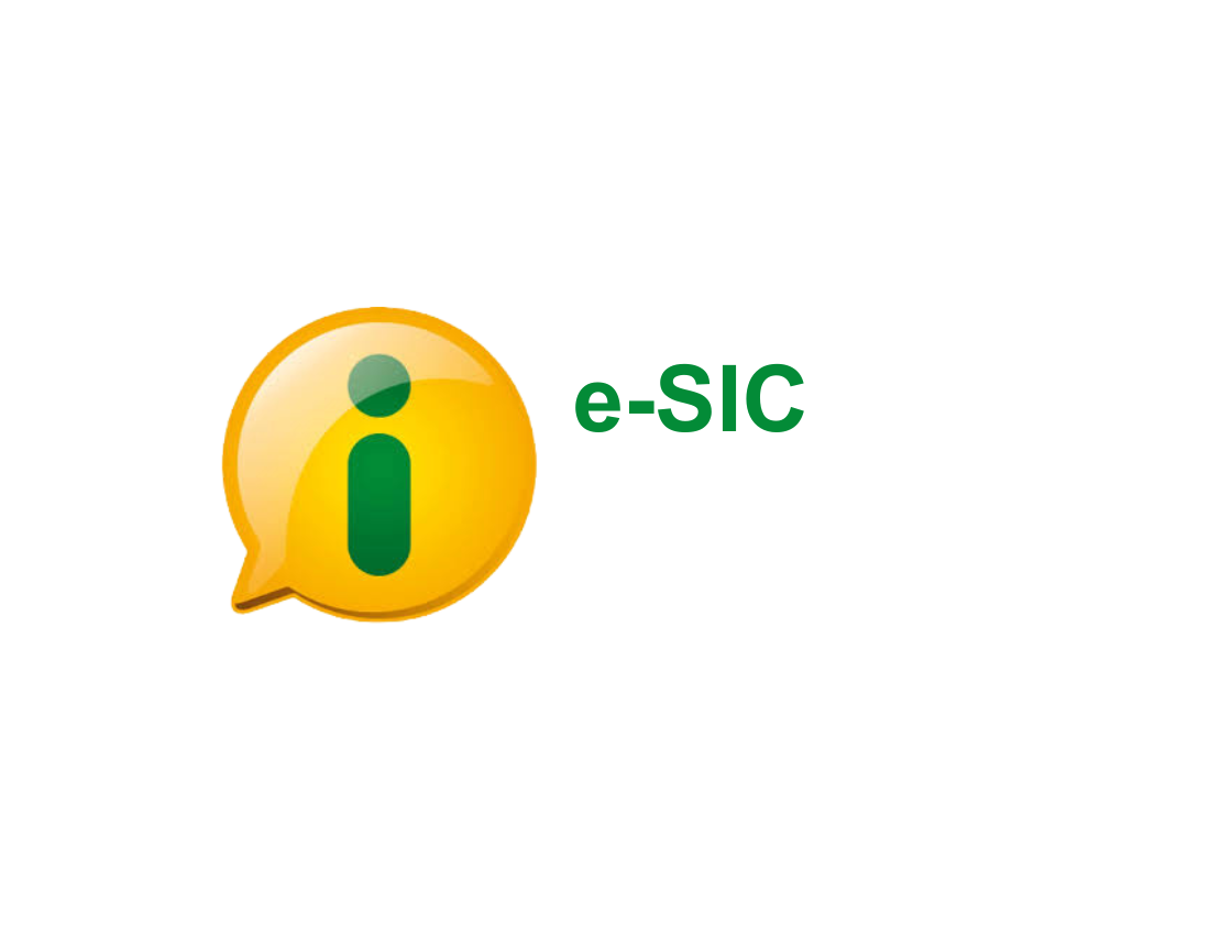 E-SIC Logo